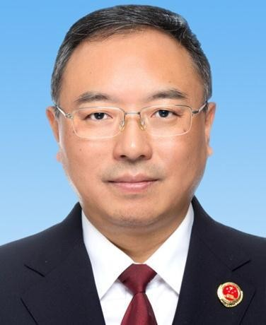 党组书记、检察长齐力
